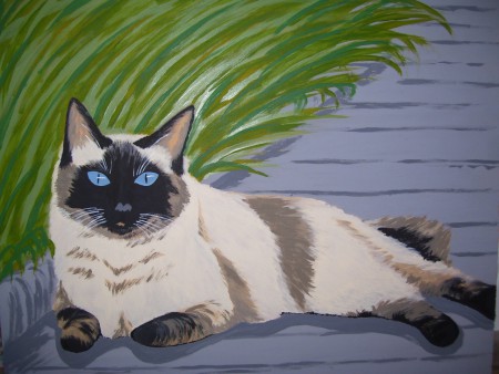 Gatito Siames